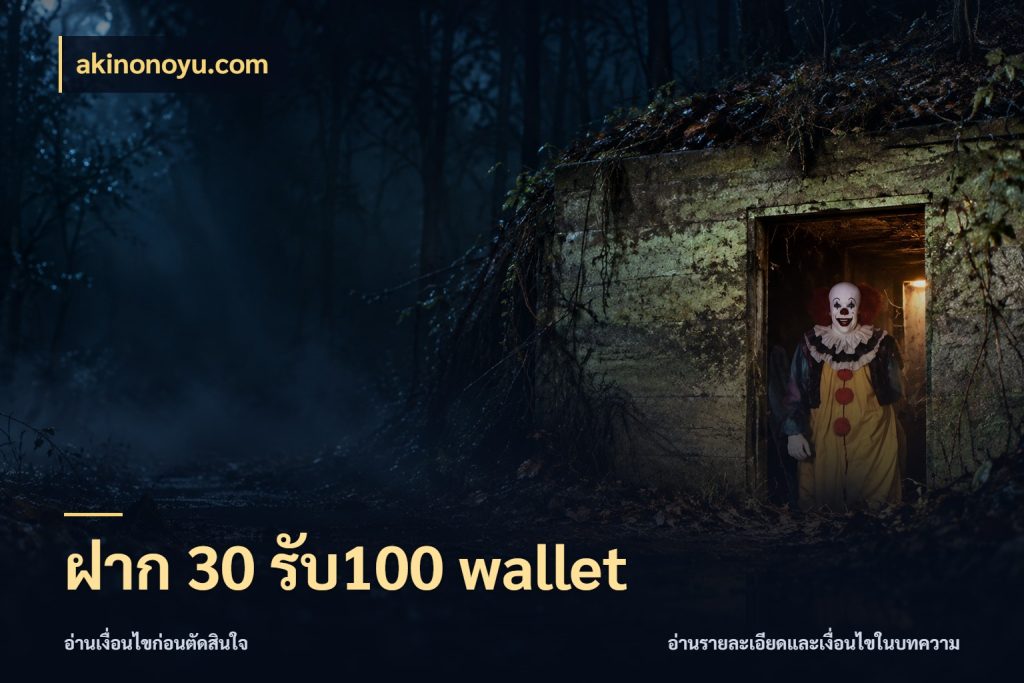 ฝาก 30 รับ100 wallet จับคู่โบนัสกับสไตล์เกมที่ชอบ กับ akinonoyu.com