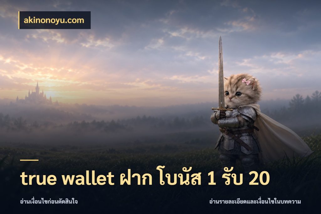true wallet ฝาก โบนัส 1 รับ 20 สีสันของโปรฝากและยอดรับ กับ akinonoyu.com