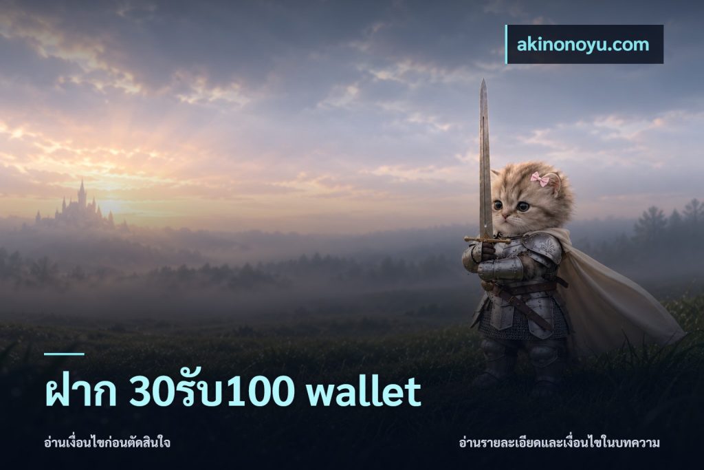 ฝาก 30รับ100 wallet