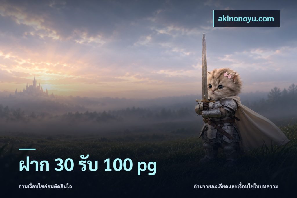 ฝาก 30 รับ 100 pg